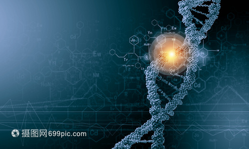 DNA分子 從生物化學(xué)背景到高科技應(yīng)用