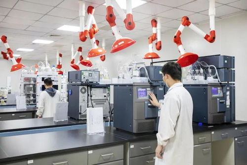 黃陂區(qū)生物產(chǎn)業(yè)招商成果豐碩 德國克諾爾等12個重大項(xiàng)目落戶