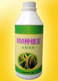廣州以諾生物科技推出‘em種植寶’水稻專用產品，助力綠色農業發展